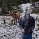 A man plays with snow at a farm in rural Sao Joaquim, Brazil, Thursday, July 29, 2021.